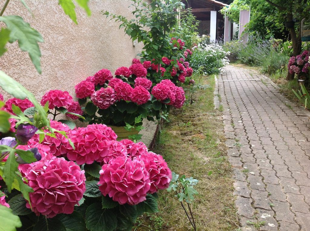 Maison d'hôtes Le Beauséjour Carcassonne Exterior foto